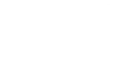 Jet Fighter 'ın silueti, savaş uçakları öncelikle havadan havaya muharebe için tasarlanmış askeri uçaklardır. PNG Biçimi