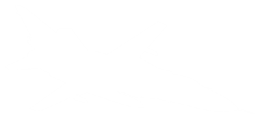 Jet Fighter 'ın silueti, savaş uçakları öncelikle havadan havaya muharebe için tasarlanmış askeri uçaklardır. PNG Biçimi