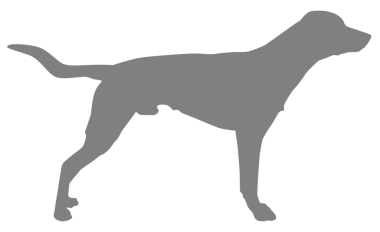 Köpek Silueti, Logo, Sanat İllüstrasyonu, Uygulamalar, Pictogram, Web Sitesi veya Grafik Tasarım Elemanı için kullanılabilir. PNG Biçimi