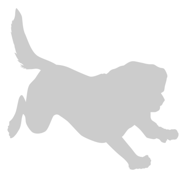 Köpek Silueti, Logo, Sanat İllüstrasyonu, Uygulamalar, Pictogram, Web Sitesi veya Grafik Tasarım Elemanı için kullanılabilir. PNG Biçimi