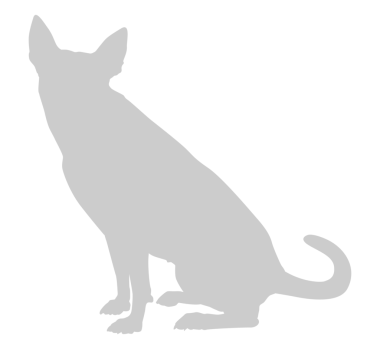  Köpek Silueti, Logo, Sanat İllüstrasyonu, Uygulamalar, Pictogram, Web Sitesi veya Grafik Tasarım Elemanı için kullanılabilir. PNG Biçimi