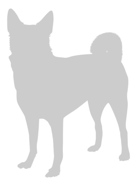  Köpek Silueti, Logo, Sanat İllüstrasyonu, Uygulamalar, Pictogram, Web Sitesi veya Grafik Tasarım Elemanı için kullanılabilir. PNG Biçimi