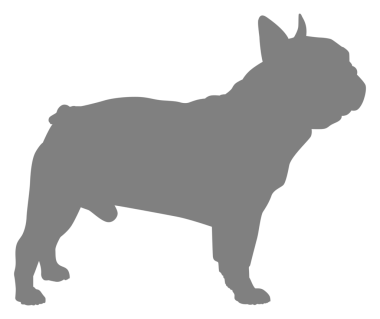  Köpek Silueti, Logo, Sanat İllüstrasyonu, Uygulamalar, Pictogram, Web Sitesi veya Grafik Tasarım Elemanı için kullanılabilir. PNG Biçimi
