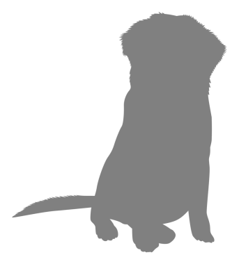  Köpek Silueti, Logo, Sanat İllüstrasyonu, Uygulamalar, Pictogram, Web Sitesi veya Grafik Tasarım Elemanı için kullanılabilir. PNG Biçimi