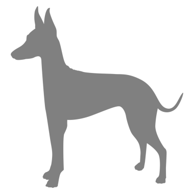  Köpek Silueti, Logo, Sanat İllüstrasyonu, Uygulamalar, Pictogram, Web Sitesi veya Grafik Tasarım Elemanı için kullanılabilir. PNG Biçimi