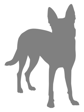  Köpek Silueti, Logo, Sanat İllüstrasyonu, Uygulamalar, Pictogram, Web Sitesi veya Grafik Tasarım Elemanı için kullanılabilir. PNG Biçimi
