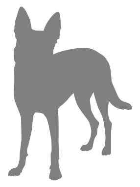  Köpek Silueti, Logo, Sanat İllüstrasyonu, Uygulamalar, Pictogram, Web Sitesi veya Grafik Tasarım Elemanı için kullanılabilir. PNG Biçimi