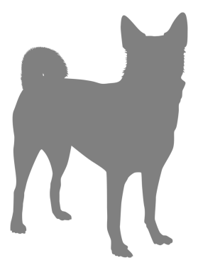  Köpek Silueti, Logo, Sanat İllüstrasyonu, Uygulamalar, Pictogram, Web Sitesi veya Grafik Tasarım Elemanı için kullanılabilir. PNG Biçimi