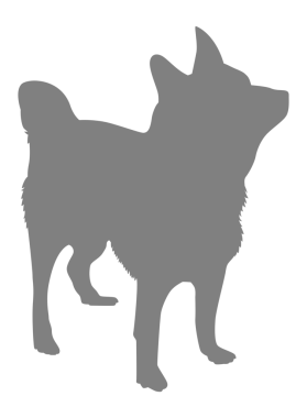  Köpek Silueti, Logo, Sanat İllüstrasyonu, Uygulamalar, Pictogram, Web Sitesi veya Grafik Tasarım Elemanı için kullanılabilir. PNG Biçimi