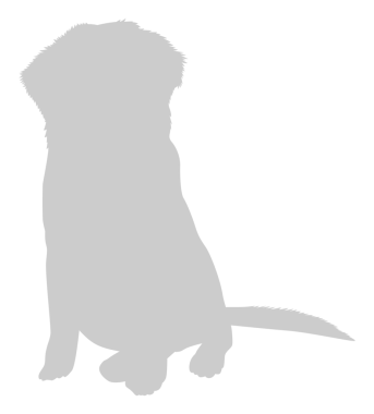  Köpek Silueti, Logo, Sanat İllüstrasyonu, Uygulamalar, Pictogram, Web Sitesi veya Grafik Tasarım Elemanı için kullanılabilir. PNG Biçimi