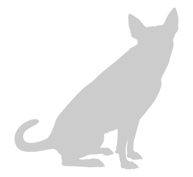  Köpek Silueti, Logo, Sanat İllüstrasyonu, Uygulamalar, Pictogram, Web Sitesi veya Grafik Tasarım Elemanı için kullanılabilir. PNG Biçimi