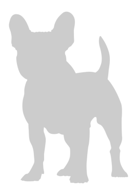 Köpek Silueti, Logo, Sanat İllüstrasyonu, Uygulamalar, Pictogram, Web Sitesi veya Grafik Tasarım Elemanı için kullanılabilir. PNG Biçimi
