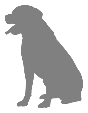 Köpek Silueti, Logo, Sanat İllüstrasyonu, Uygulamalar, Pictogram, Web Sitesi veya Grafik Tasarım Elemanı için kullanılabilir. PNG Biçimi