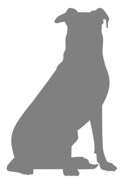 Köpek Silueti, Logo, Sanat İllüstrasyonu, Uygulamalar, Pictogram, Web Sitesi veya Grafik Tasarım Elemanı için kullanılabilir. PNG Biçimi