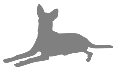 Köpek Silueti, Logo, Sanat İllüstrasyonu, Uygulamalar, Pictogram, Web Sitesi veya Grafik Tasarım Elemanı için kullanılabilir. PNG Biçimi