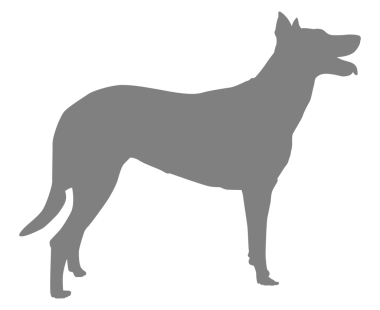 Köpek Silueti, Logo, Sanat İllüstrasyonu, Uygulamalar, Pictogram, Web Sitesi veya Grafik Tasarım Elemanı için kullanılabilir. PNG Biçimi