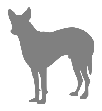 Köpek Silueti, Logo, Sanat İllüstrasyonu, Uygulamalar, Pictogram, Web Sitesi veya Grafik Tasarım Elemanı için kullanılabilir. PNG Biçimi