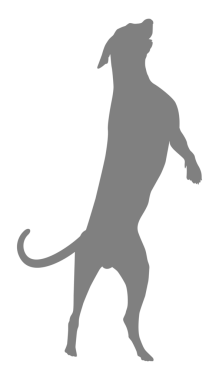 Köpek Silueti, Logo, Sanat İllüstrasyonu, Uygulamalar, Pictogram, Web Sitesi veya Grafik Tasarım Elemanı için kullanılabilir. PNG Biçimi