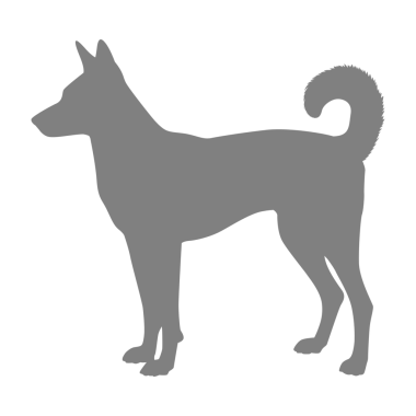 Köpek Silueti, Logo, Sanat İllüstrasyonu, Uygulamalar, Pictogram, Web Sitesi veya Grafik Tasarım Elemanı için kullanılabilir. PNG Biçimi
