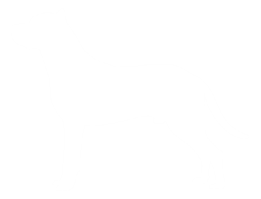 Köpek Silueti, Logo, Sanat İllüstrasyonu, Uygulamalar, Pictogram, Web Sitesi veya Grafik Tasarım Elemanı için kullanılabilir. PNG Biçimi
