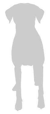 Köpek Silueti, Logo, Sanat İllüstrasyonu, Uygulamalar, Pictogram, Web Sitesi veya Grafik Tasarım Elemanı için kullanılabilir. PNG Biçimi