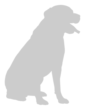 Köpek Silueti, Logo, Sanat İllüstrasyonu, Uygulamalar, Pictogram, Web Sitesi veya Grafik Tasarım Elemanı için kullanılabilir. PNG Biçimi