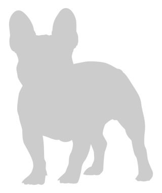 Köpek Silueti, Logo, Sanat İllüstrasyonu, Uygulamalar, Pictogram, Web Sitesi veya Grafik Tasarım Elemanı için kullanılabilir. PNG Biçimi