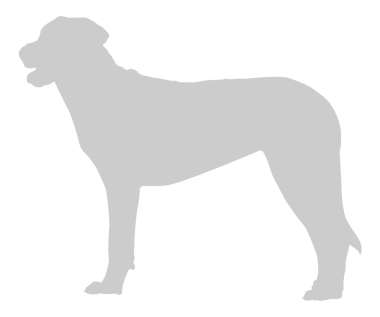 Köpek Silueti, Logo, Sanat İllüstrasyonu, Uygulamalar, Pictogram, Web Sitesi veya Grafik Tasarım Elemanı için kullanılabilir. PNG Biçimi
