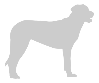 Köpek Silueti, Logo, Sanat İllüstrasyonu, Uygulamalar, Pictogram, Web Sitesi veya Grafik Tasarım Elemanı için kullanılabilir. PNG Biçimi