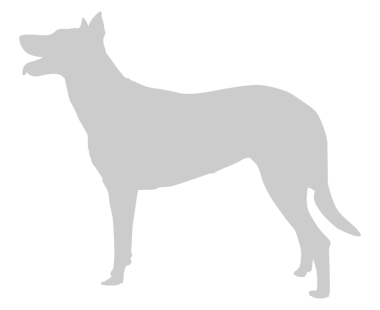Köpek Silueti, Logo, Sanat İllüstrasyonu, Uygulamalar, Pictogram, Web Sitesi veya Grafik Tasarım Elemanı için kullanılabilir. PNG Biçimi