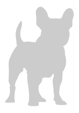 Köpek Silueti, Logo, Sanat İllüstrasyonu, Uygulamalar, Pictogram, Web Sitesi veya Grafik Tasarım Elemanı için kullanılabilir. PNG Biçimi