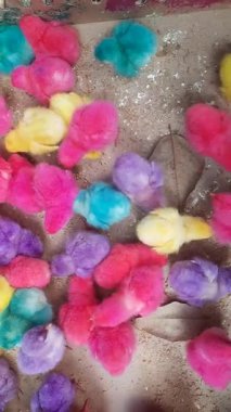 Tüylü Sentetik Renkli Şirin Küçük Tavuk Sürüsü 'nün videosu. Yogyakarta, Endonezya 'da konum