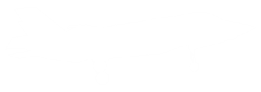 Türk Jet Fighter 'ın silueti, savaş uçakları öncelikle havadan havaya muharebe için tasarlanmış askeri uçaklardır. Pictogram, Logo, News Illustration, Infographic veya Design Element için kullanılabilir.