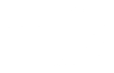 Türk Jet Fighter 'ın silueti, savaş uçakları öncelikle havadan havaya muharebe için tasarlanmış askeri uçaklardır. Pictogram, Logo, News Illustration, Infographic veya Design Element için kullanılabilir.