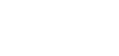 Türk Jet Fighter 'ın silueti, savaş uçakları öncelikle havadan havaya muharebe için tasarlanmış askeri uçaklardır. Pictogram, Logo, News Illustration, Infographic veya Design Element için kullanılabilir.