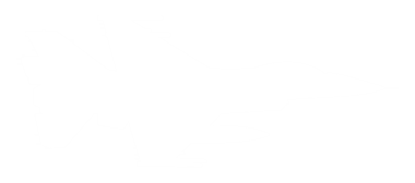 Türk Jet Fighter 'ın silueti, savaş uçakları öncelikle havadan havaya muharebe için tasarlanmış askeri uçaklardır. Pictogram, Logo, News Illustration, Infographic veya Design Element için kullanılabilir.