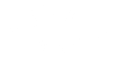 Türk Jet Fighter 'ın silueti, savaş uçakları öncelikle havadan havaya muharebe için tasarlanmış askeri uçaklardır. Pictogram, Logo, News Illustration, Infographic veya Design Element için kullanılabilir.