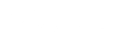 Jet Fighter, hayalet bombardıman uçağı silueti, öncelikle havadan havaya muharebe için tasarlanmış askeri uçaklardır. Vektör İllüstrasyonu