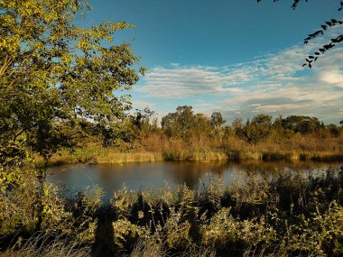Ormanda göl kenarında yürü.