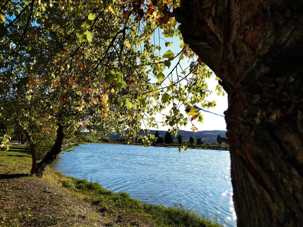 Sıcak bir sonbahar gününde arkadaşlarla gölde tekne gezintisi.