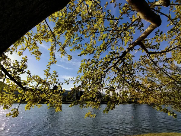 Güzel sonbahar sıcacık renkleri yürüyüşü hoş yapıyor.