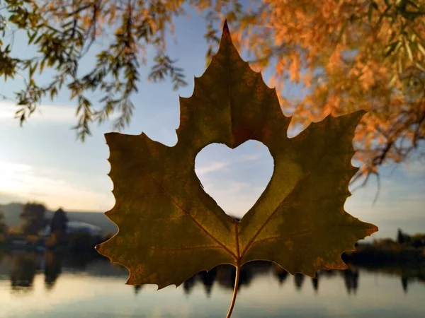 Sonbaharı seviyorum çünkü yaratıcı hayal gücünü arttırıyor.