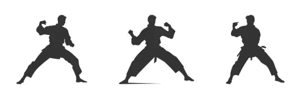 Silhouette Uomo Karate Preparato Lotta Illustrazione Vettoriale — Vettoriale Stock