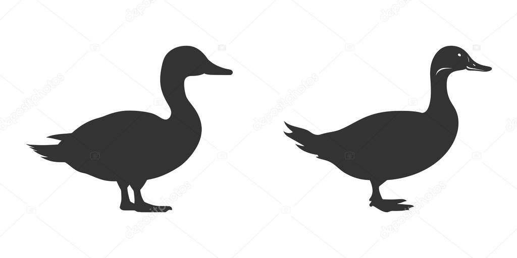 Duck silhouette on a white background. Vector illustration.
