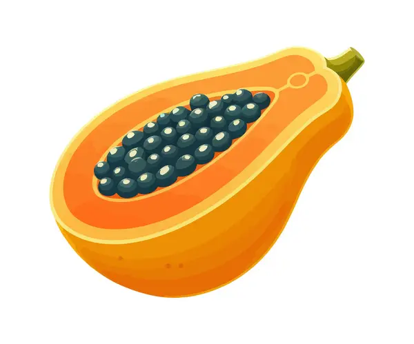 Papaya Gyümölcs Fehér Háttér Rajzfilm Vektor — Stock Vector