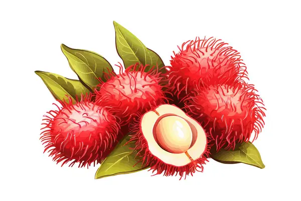 Frutta Rambutana Illustrazione Vettoriale Cartone Animato — Vettoriale Stock