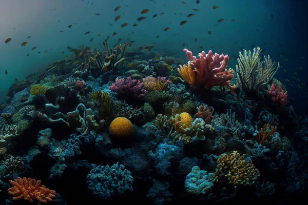 the view under the sea with the beauty of colorful coral and a variety of fish.