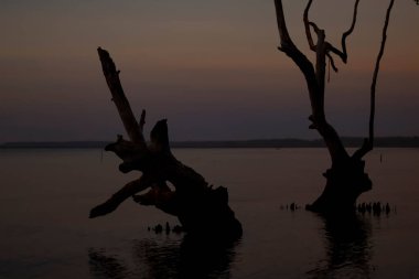 Kenyamukan Sahili 'nin panoramik manzarası, Sangatta, Doğu Kalimantan, Endonezya Kurban Bayramı' ndan önceki sabah.