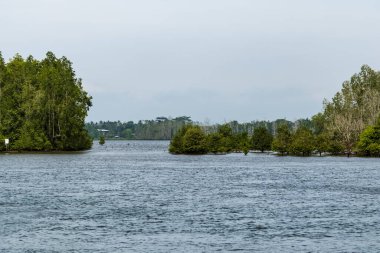 Muara Badak 'taki Panrita Lopi plajına giden ana yol olan mangrov ağaçlarıyla çevrili nehrin manzarası..