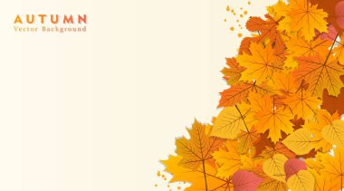 Kırmızı, turuncu, kahverengi ve sarı sonbahar yapraklı vektör arkaplanı